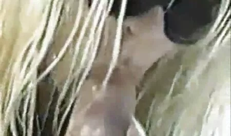 大きな黒コックと二つの黒人女性 アダルト 無料 動画 鈴木 一徹