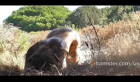 赤い髪の雌犬 鈴木 一徹 イケメン