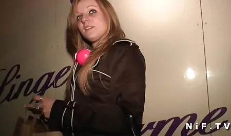 単に若い金髪 鈴木 一徹 子猫