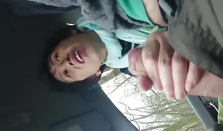 軽いマッサージの後に猫に入れる 一徹 女性 動画