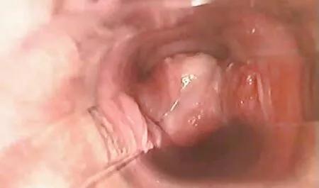 美しい女の子を犯した 鈴木 一徹 女性 の ため