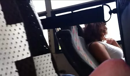 国境を越えて興味深いマルタ*ラ*クロフト 鈴木 一徹 子猫