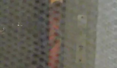 早朝にリリーフォードの濡れた膣の選手 鈴木 一徹 エロ い