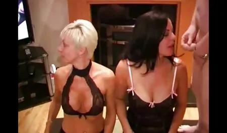 匿名のポンドレミー-ラクロワ 鈴木 一徹 子猫