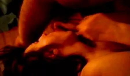 アレッタ-オーシャン-ダニー-ディー 鈴木 一徹 子猫