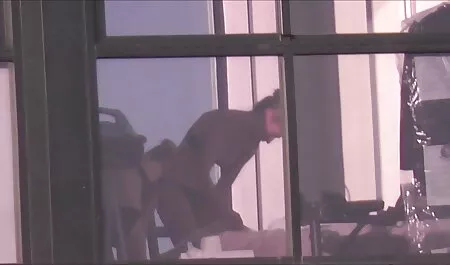 地域で最も魅力的な犬メイソンムーア 一徹 男優 動画