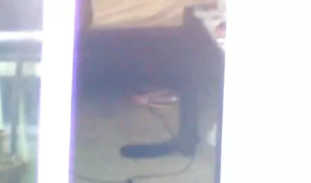 親密さを呼び起こす 鈴木 一徹 アダルト